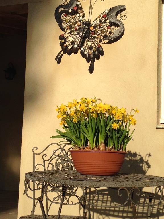 Bed & Breakfast L'Orangerie Carcassonne Buitenkant foto